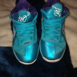 Hornet lebrons